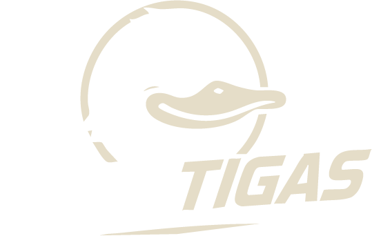 TeamTigas