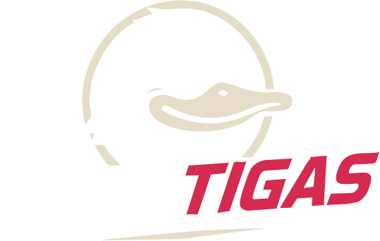 TeamTigas